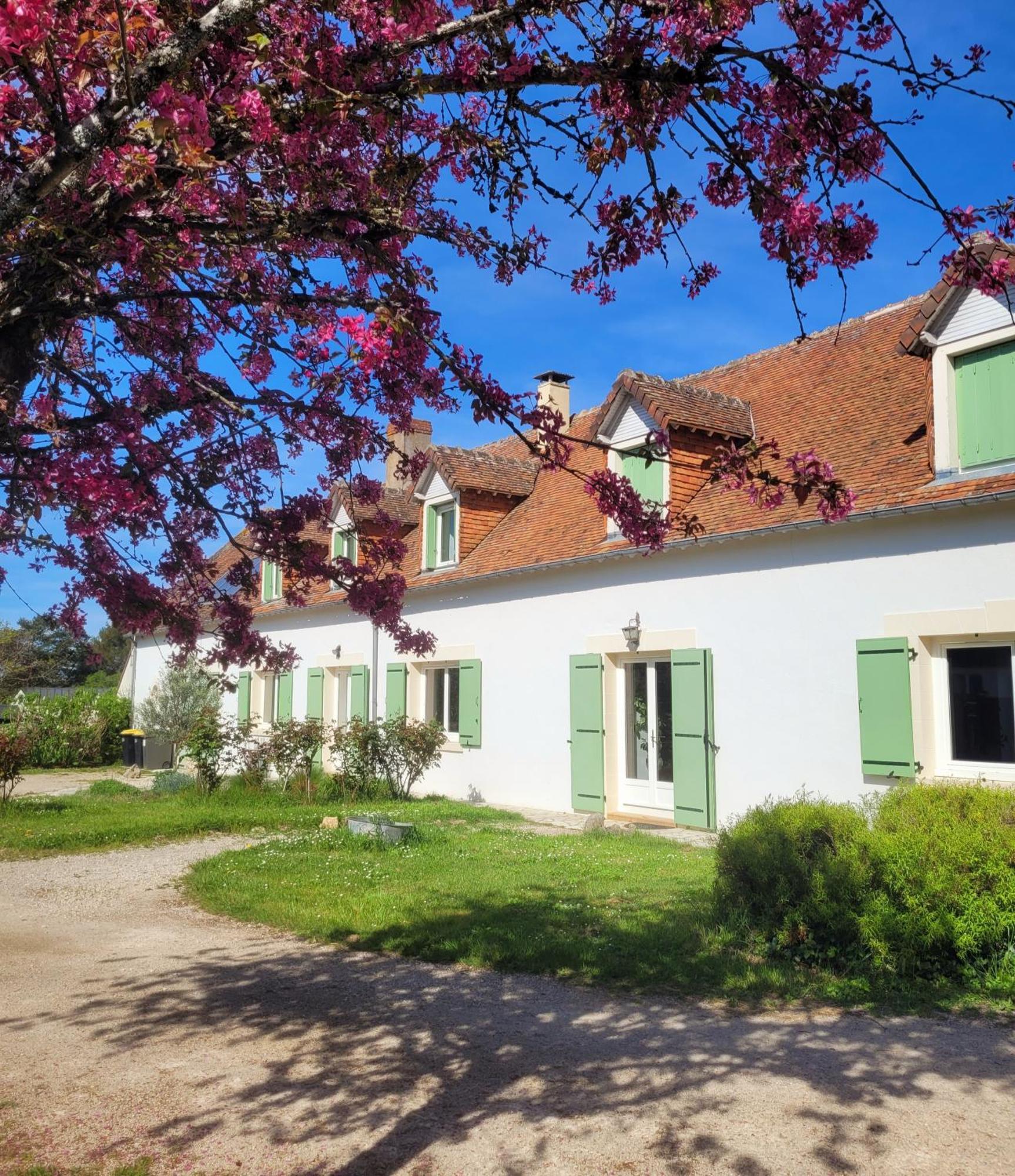 L Amalia Au Coeur Des Chateaux De La Loire Et Du Zoo De Beauval Sambin Екстериор снимка